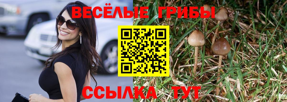 Галлюциногенные грибы ЛСД Славянск-на-Кубани